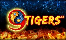 9 Tigers